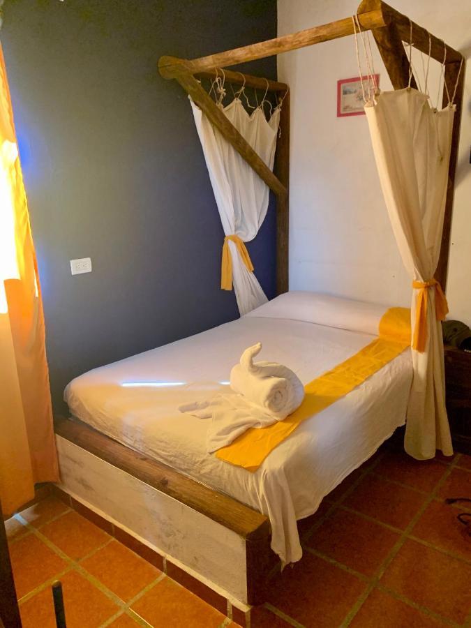 Mexicasa Cancun Hostel Dış mekan fotoğraf